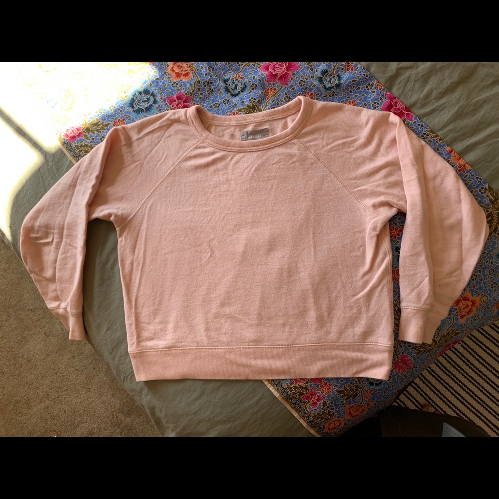 Everlane Lightweight French Terry Crew, light pink